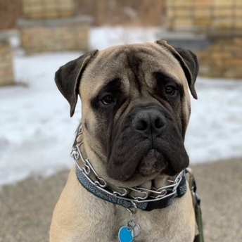 Jax Photo